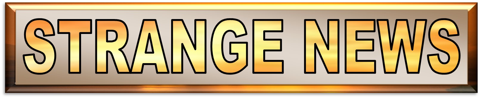 STRANGE NEWS WEBSITE HEADER 8-9-2022