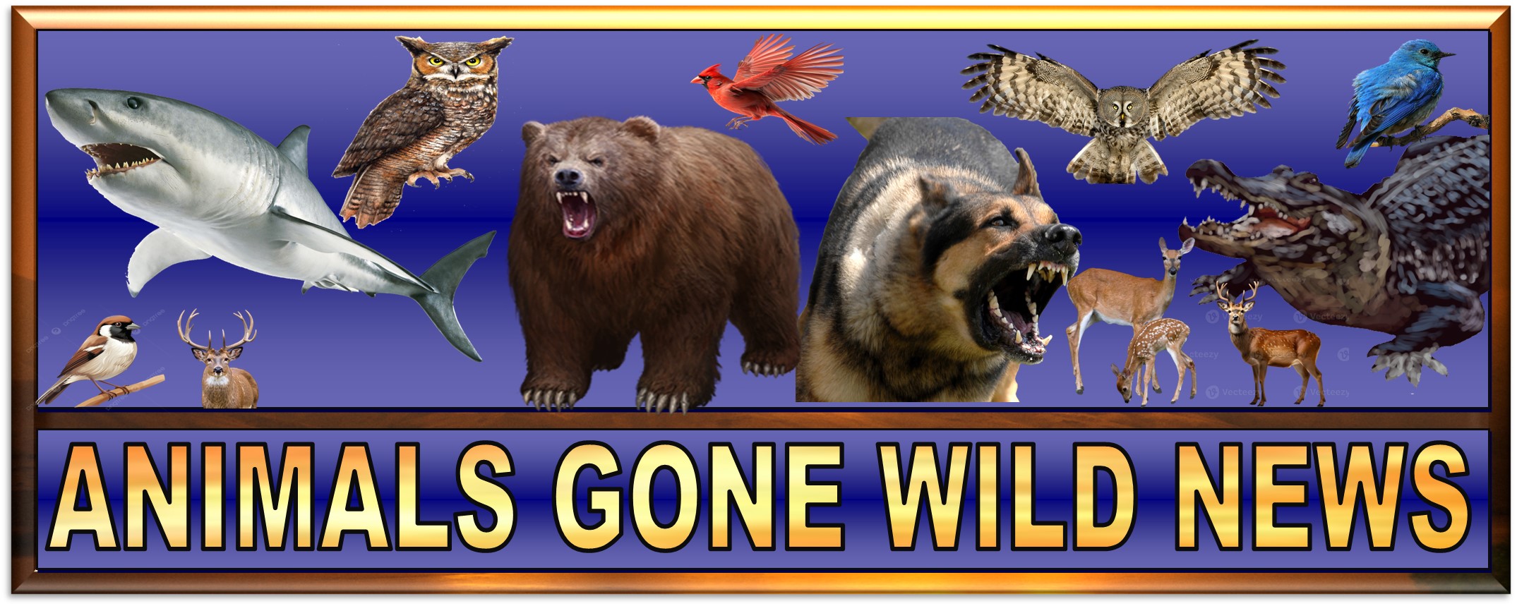 ANIMALS GONE WILD NEWS FOR 5-19-2025